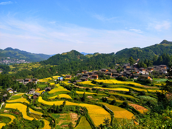 龙塘村人口_吴川市樟铺镇龙塘村