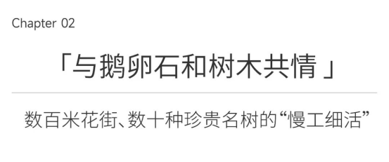 2023年报外部董事简历（中英文）4.261655.png