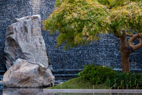 p data15099.png p data15099.png