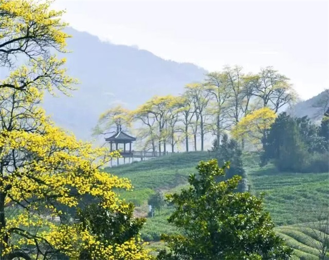 320-12.jpg 320-12.jpg