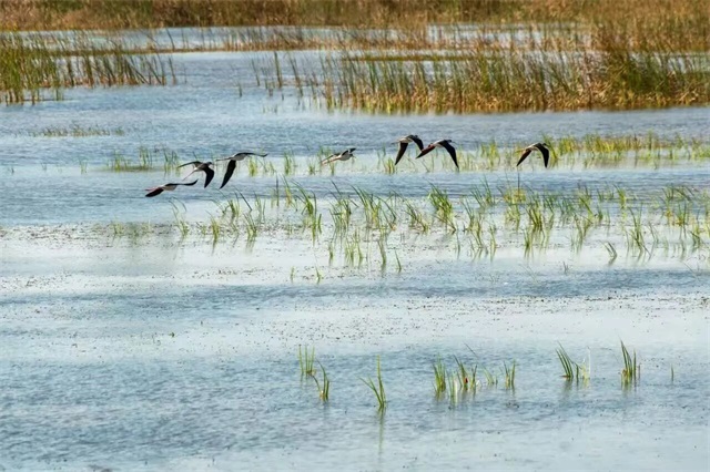 320-18.jpg 320-18.jpg