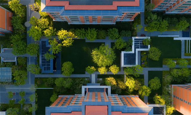 image9.png image9.png