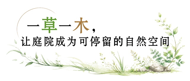 6.png 6.png